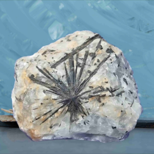 Black rutiliated quartz crystal